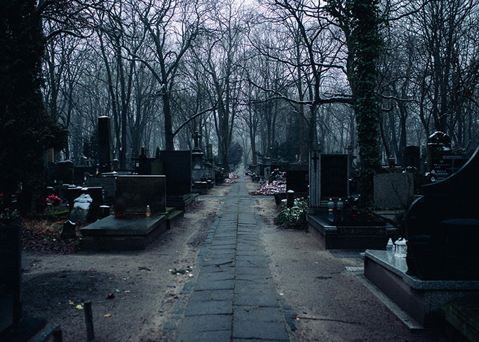 A dark, eerie cemetery path lined with old tombstones and leafless trees on a foggy, gloomy day.