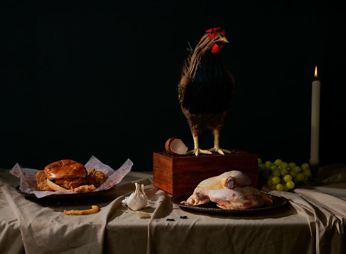 Still life featuring a chicken, fried chicken sandwich, raw poultry, garlic, grapes, and a lit candle in dark setting.