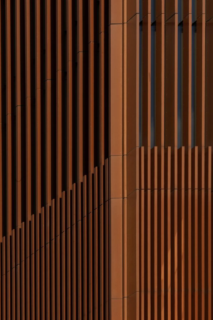 Close-up of architectural lines and shadows highlighting award-winning photos from the 2025 photographer of the year contest