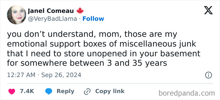 Funny and relatable meme about emotional support boxes of miscellaneous junk stored unopened for years shared by therapy memes page.