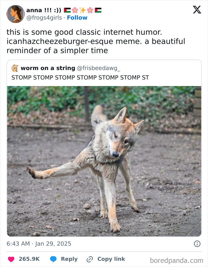 Animal-Humor-Pics-Animalxhumor