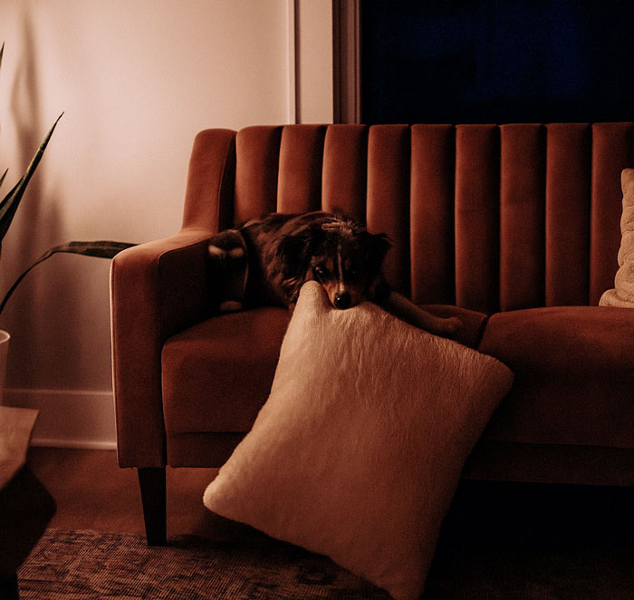 “I Got Fired The Next Day”: 49 Unexpected And Awkward Times People Saw Something They Weren’t Supposed To