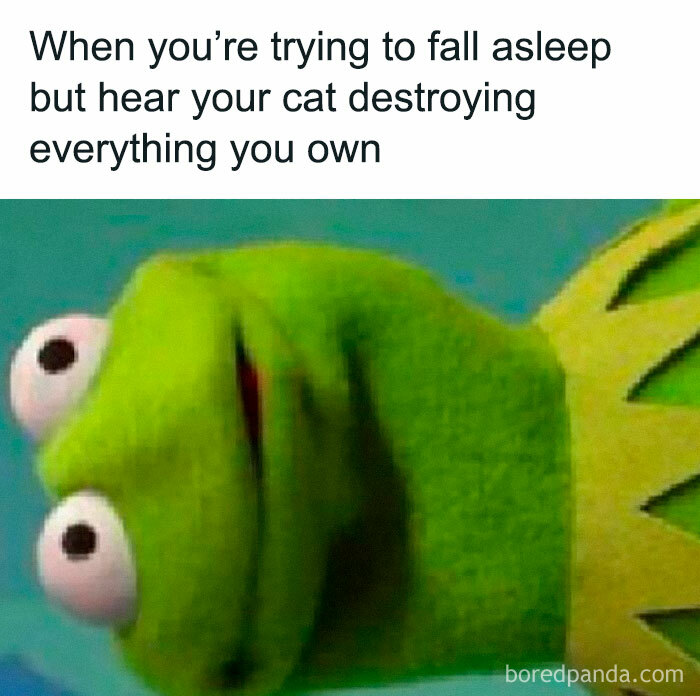 A close-up of a green puppet with wide eyes, captioned about hearing a cat destroy things while trying to sleep.