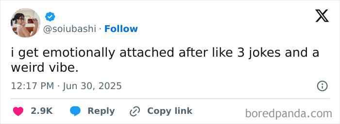 Tweet by user @soiubashi sharing a relatable humorous message, perfect for a daily serotonin boost from new pics.