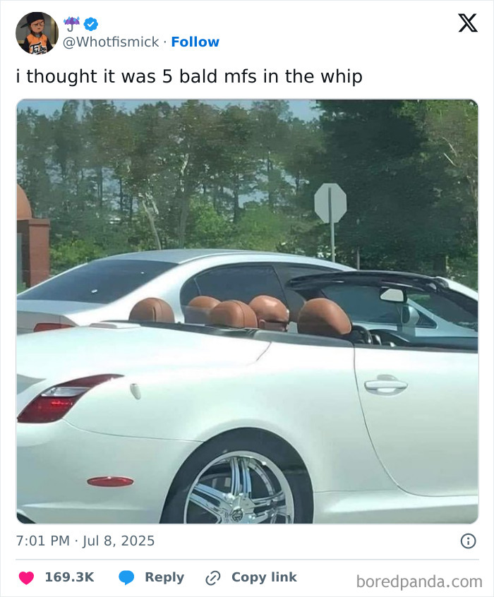 Convertible car with headrest cushions resembling five bald heads, a funny tweet shared for hilarious tweets SEO.