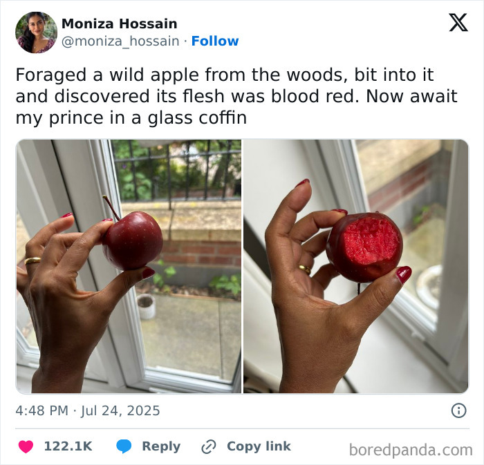 Hand holding a wild apple with blood red flesh, shown in two photos, featured in hilarious tweets shared online.