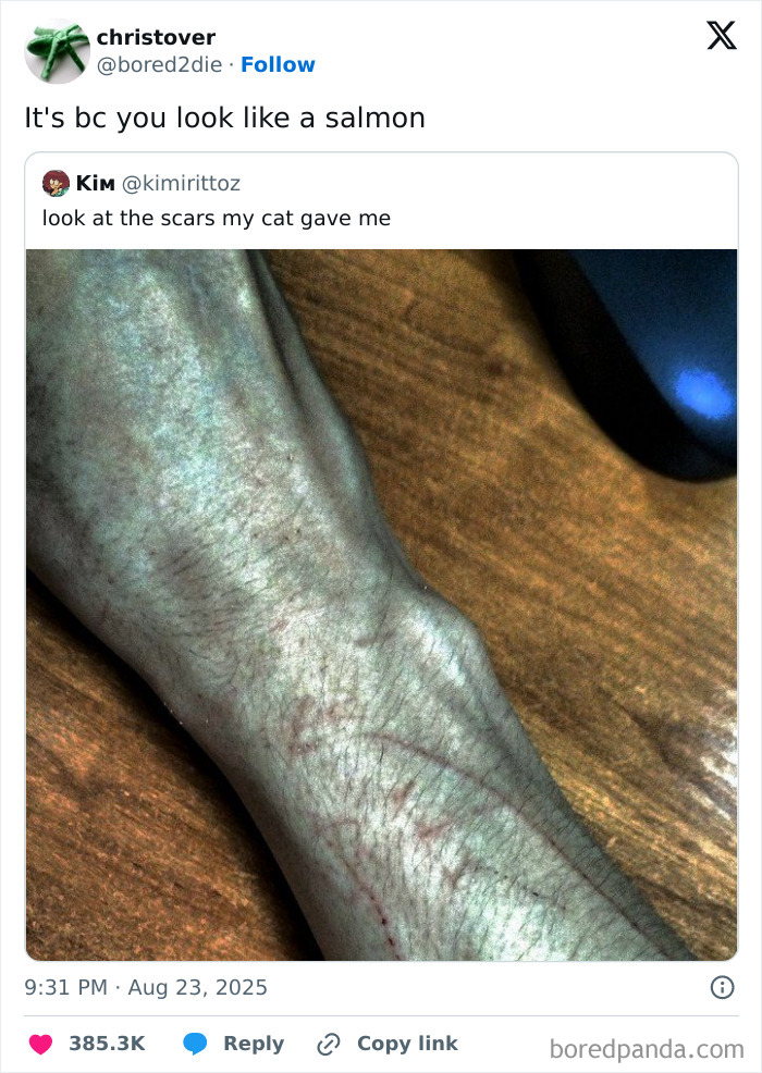 Tweet showing a wrist with cat scratches, shared in a collection of hilarious tweets people couldn’t help but share.