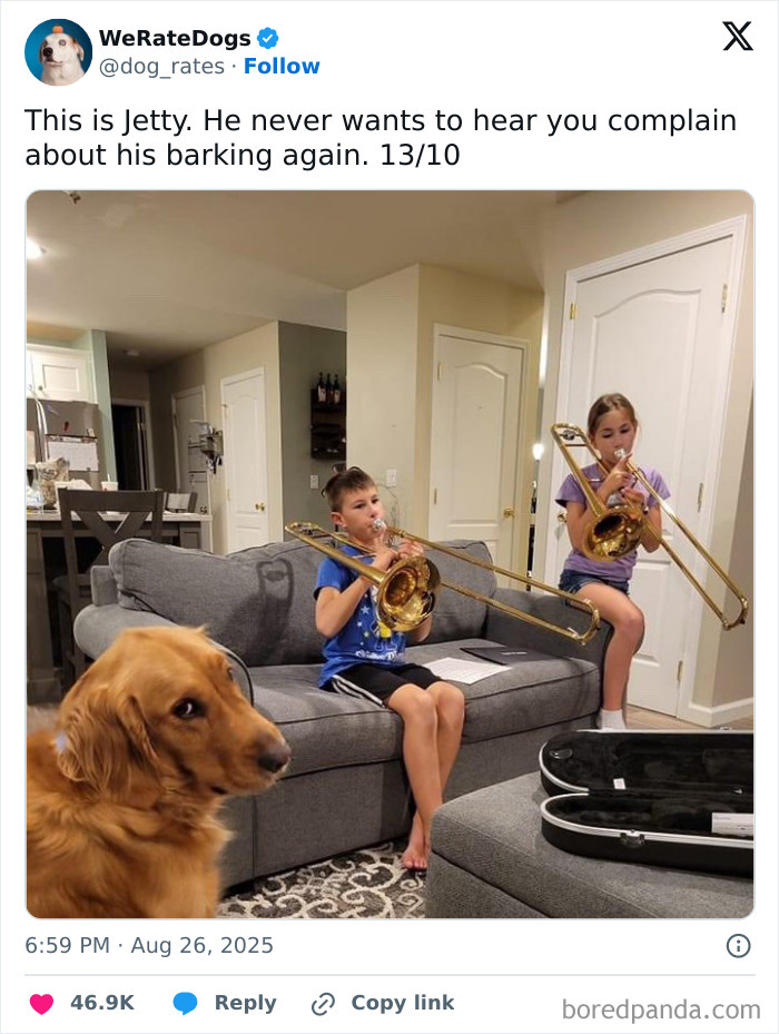 Golden retriever dog named Jetty with two kids playing trombones in a cozy living room, reviewed by We Rate Dogs.