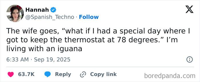 Screenshot of a hilarious tweet about living with an iguana and thermostat temperature humor shared on social media.