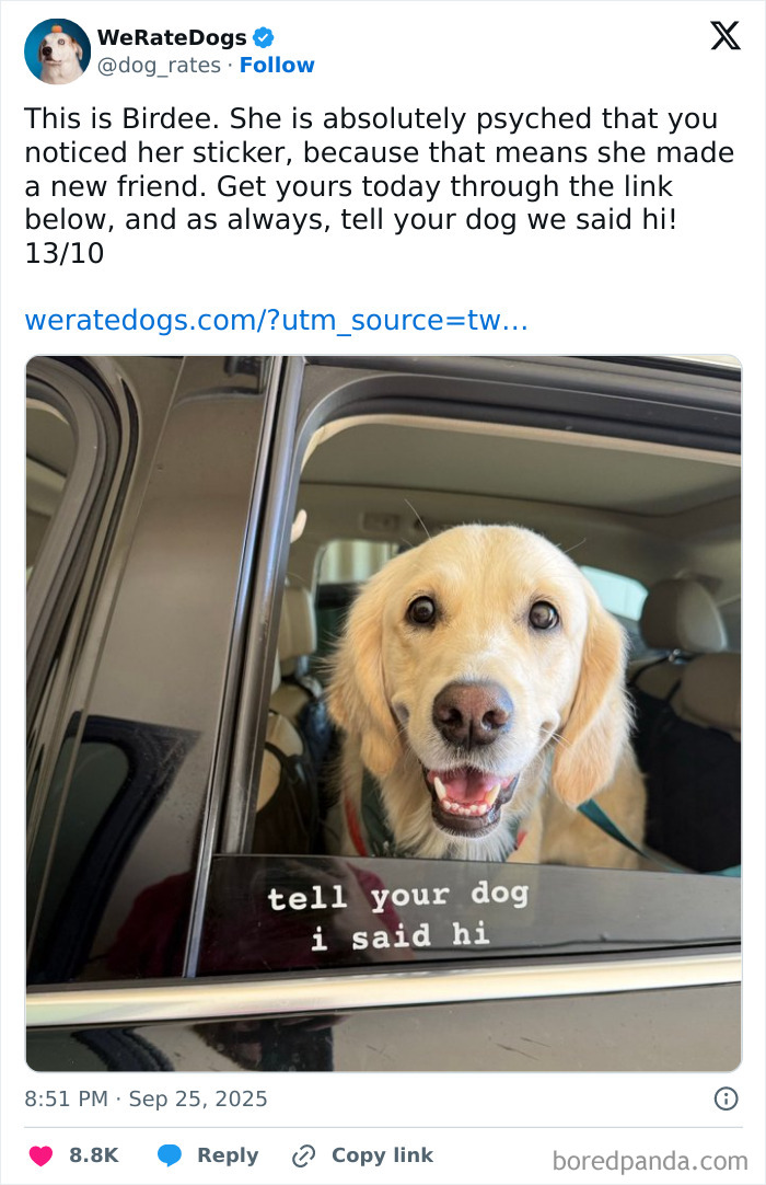 Happy golden retriever smiling in car window, featured by We Rate Dogs, a popular wholesome dog review page.