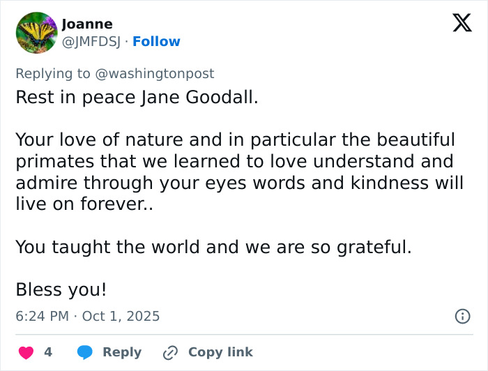 Jane Goodall, Legendary Chimpanzee Expert And Animal Advocate, Passes Away At 91