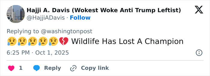 Jane Goodall, Legendary Chimpanzee Expert And Animal Advocate, Passes Away At 91