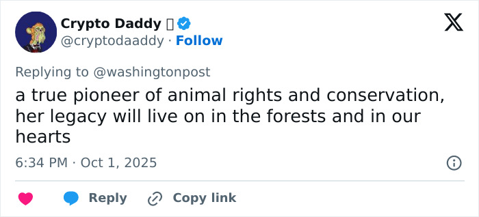 Jane Goodall, Legendary Chimpanzee Expert And Animal Advocate, Passes Away At 91