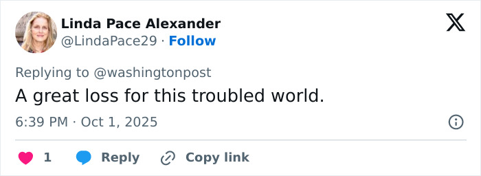 Jane Goodall, Legendary Chimpanzee Expert And Animal Advocate, Passes Away At 91