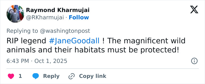 Jane Goodall, Legendary Chimpanzee Expert And Animal Advocate, Passes Away At 91