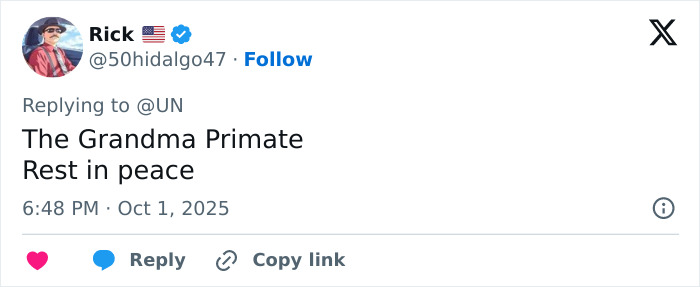 Jane Goodall, Legendary Chimpanzee Expert And Animal Advocate, Passes Away At 91