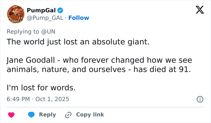 Jane Goodall, Legendary Chimpanzee Expert And Animal Advocate, Passes Away At 91