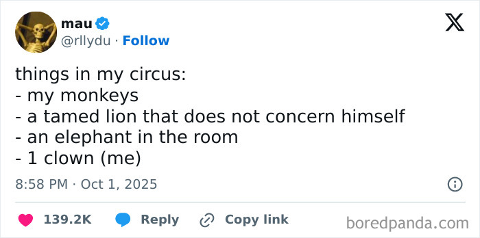 Screenshot of a funny tweet from a parent humorously describing their chaotic life as a circus on X.
