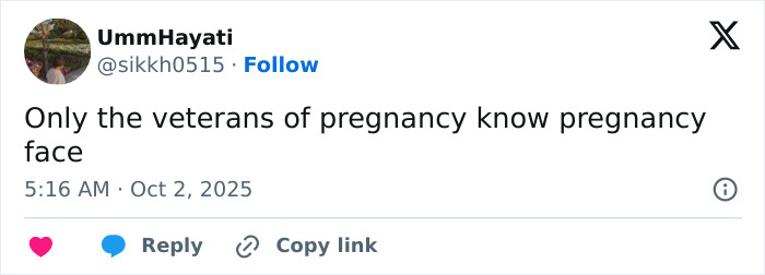 Social media comment discussing Zendaya fans convinced she's pregnant based on her face in a viral photo with Lisa.