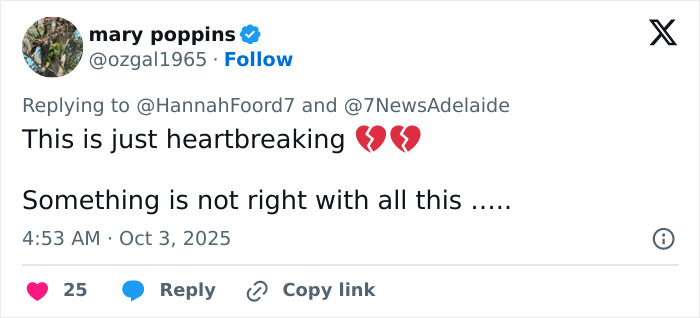 Major Twist In 4YO Gus' Mysterious Vanishing In Outback As Rescuer's Claim Sparks Chilling Theory