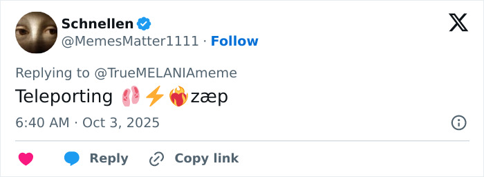 Tweet from user Schnellen replying with cryptic emojis, referencing Melania Trump&rsquo;s bizarre AI video fueling conspiracy theories.