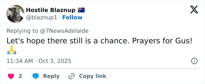 Major Twist In 4YO Gus' Mysterious Vanishing In Outback As Rescuer's Claim Sparks Chilling Theory