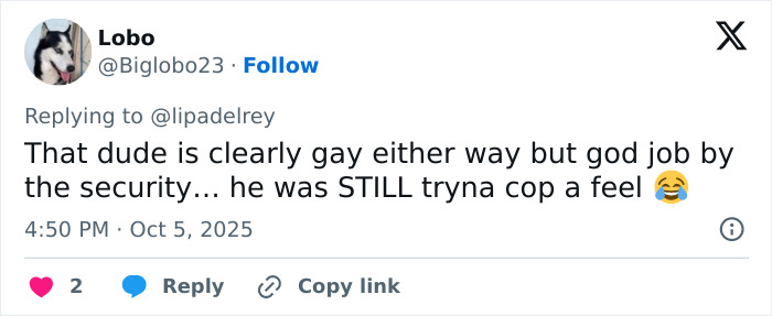 Screenshot of a Twitter reply discussing alleged inappropriate touching incident involving Dua Lipa at concert. Screenshot of a Twitter reply discussing alleged inappropriate touching incident involving Dua Lipa at concert.