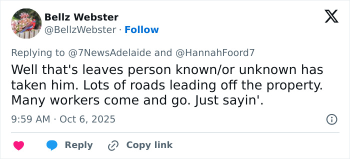 Major Twist In 4YO Gus' Mysterious Vanishing In Outback As Rescuer's Claim Sparks Chilling Theory