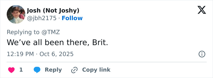 Tweet reply to TMZ about Britney Spears making a concerning claim about a horrible accident and visible bruises.