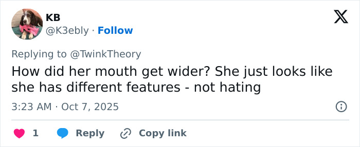 Screenshot of a social media comment discussing Mandy Moore's unrecognizable new look and changed facial features.