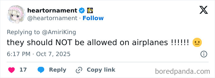 Alt text: Twitter user expressing outrage over insufferable woman blocking passengers from exiting until her daughter goes first on airplane. Alt text: Twitter user expressing outrage over insufferable woman blocking passengers from exiting until her daughter goes first on airplane.
