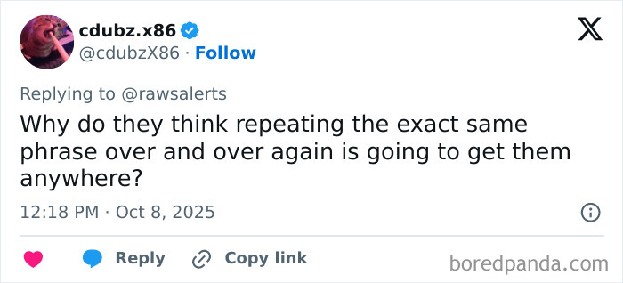 Twitter post by cdubz.x86 questioning repeated phrases during an online argument about passenger behavior outrage. Twitter post by cdubz.x86 questioning repeated phrases during an online argument about passenger behavior outrage.