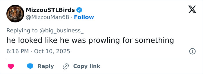 Screenshot of a tweet describing disturbing Mark Sanchez footage showing bizarre behavior before alleged attack on elderly driver.