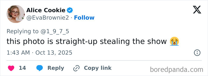 Taylor Swift's unedited photo from Life Of A Showgirl cover shoot with fans commenting on social media reaction Taylor Swift's unedited photo from Life Of A Showgirl cover shoot with fans commenting on social media reaction