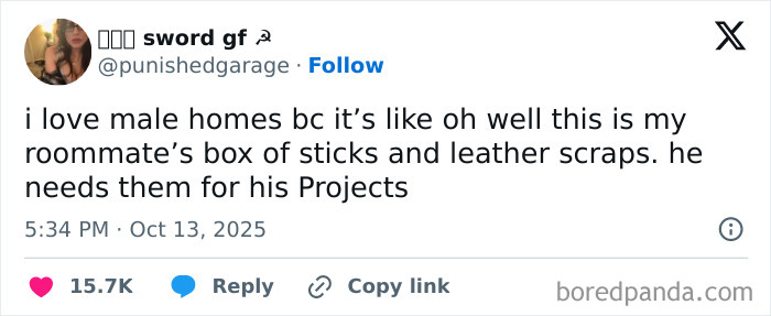 Tweet humorously describing male living spaces as collections of sticks and leather scraps, reflecting funny October Netflix comments.