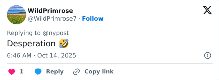 Screenshot of a Twitter reply showing the username WildPrimrose7 reacting with the word desperation and a laughing emoji.