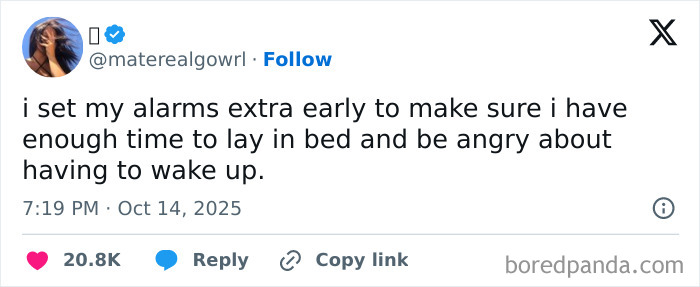 Tweet about setting alarms early to stay in bed and be angry, related to Netflix gotta add a comment section humor.