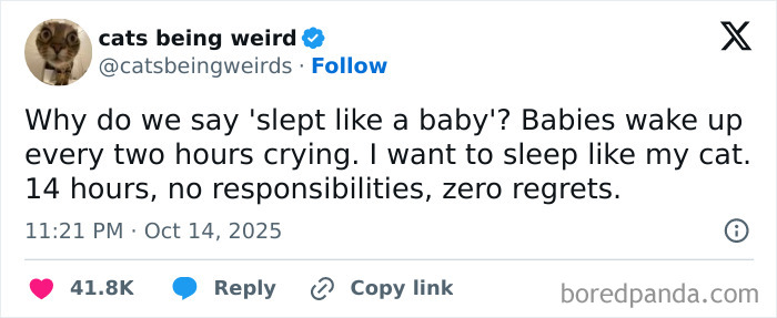 Tweet from cats being weird humorously comparing baby sleep to cat sleep, featured in Netflix gotta add a comment section October tweets.
