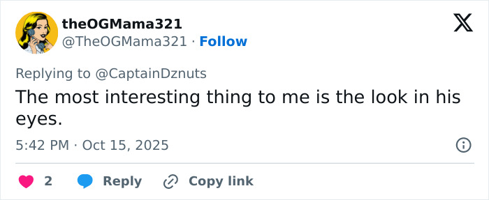 Twitter comment praising the look in Bradley Cooper's eyes following his radical makeover comparing him to Barry Manilow.