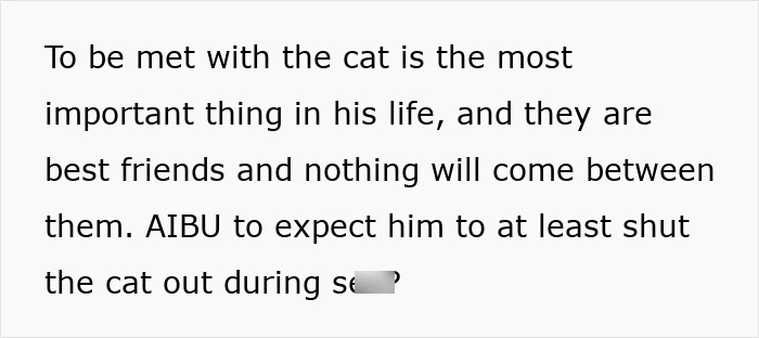 Text excerpt about stroking cat during intimacy, highlighting the bond and expectation around the cat's presence.