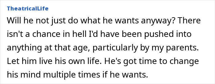 Text excerpt from TheatricalLife discussing a parent's perspective on steering a son's career against dreams and allowing life choices.