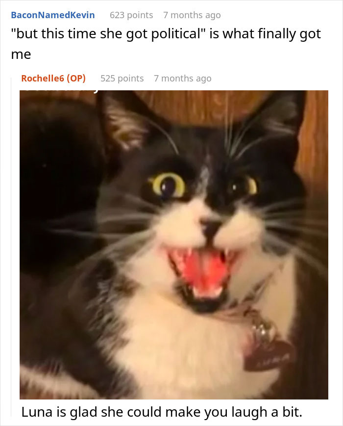 Black and white cat with wide eyes and open mouth reacting to woman refusing to share chicken sandwich.