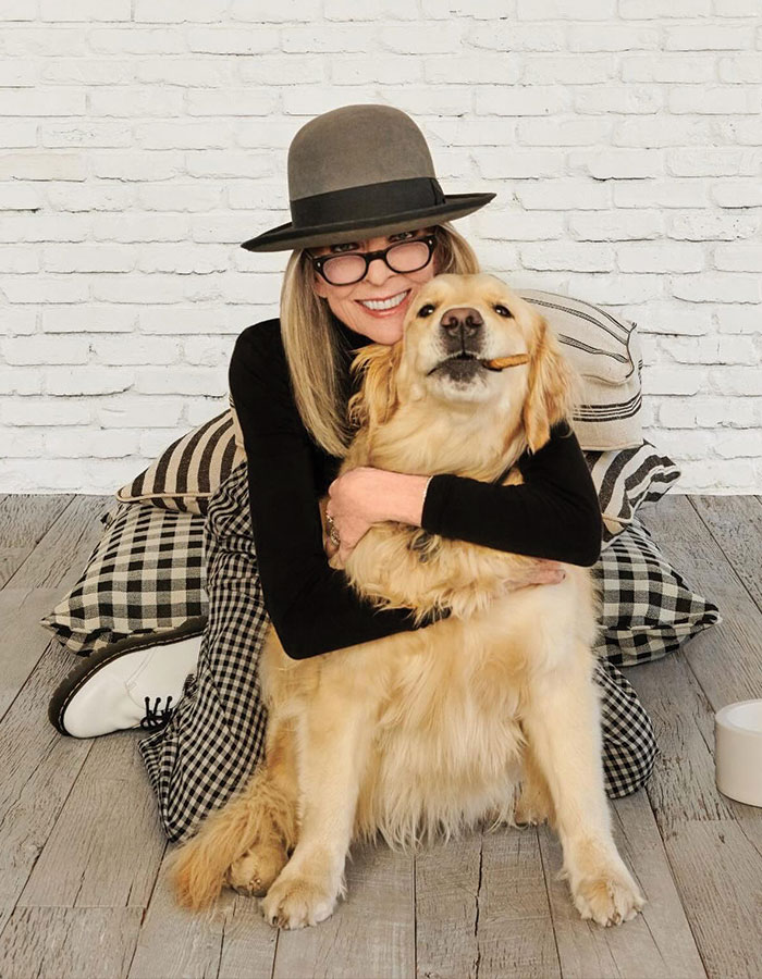 “2025 Has Taken Another Legend”: Hollywood Icon Diane Keaton Passes Away At 79 “2025 Has Taken Another Legend”: Hollywood Icon Diane Keaton Passes Away At 79