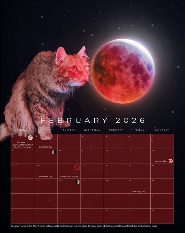 Rescue cat featured as a cosmic superstar in a 2026 feline space calendar with lunar and solar eclipse imagery.
