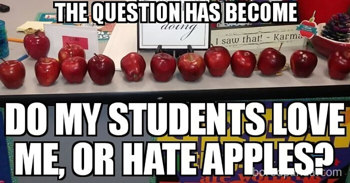 Funny meme for teachers showing a row of red apples with text questioning students' feelings about apples.