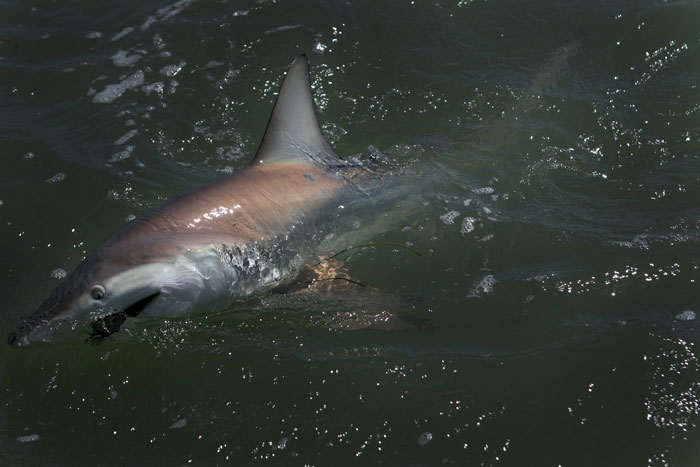 50 Of The Wildest “We Need To Leave Right Now” Stories