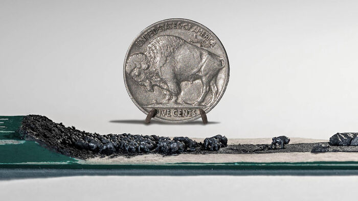 50 Tiny Bison, One Pencil: Here's My Most Ambitious Micro-Carving Yet