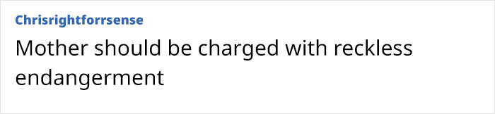 Text on screen showing claim that mother should be charged with reckless endangerment in Disney cruise ship incident