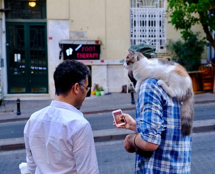 Two men on Istanbul’s streets, one with a cat on his shoulder, capturing everyday life and street cats in the city.