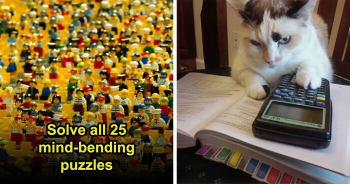 “How High Is Your IQ?”: Prove Your Logic & Visual Skills In 25 Questions